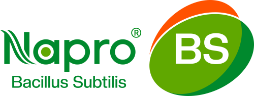 Napro® BS